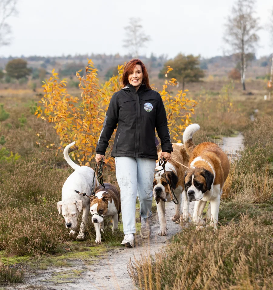 Dogtalk by Hilda - Hondenschool Rijssen